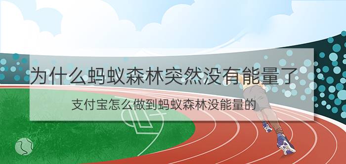 为什么蚂蚁森林突然没有能量了 支付宝怎么做到蚂蚁森林没能量的？